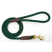 Snap Leash in Green