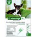 Flea Medication For Dogs