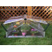 Double Polycarbonate Cold Frame Greenhouse