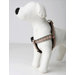 English Plaid Dog Harness