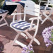 Venezia Dining Arm Chair