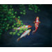 Zen Oil Painting on Canvas Art - 20" x 24"