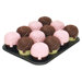 12 Cup Muffin Pan with 12 Cupcase