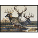 Realtree Team Realtree Bucks VI Mat