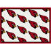 NFL Team Repeat Novelty Rug