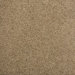 Legato Touch Carpet Tile in Tradewinds