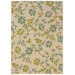Caspian Ivory/Green Rug