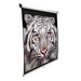 MaxWhite Manual Series Home Cinema Manual Pull Down Screen - 135" Diagonal in Black Case