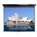 Manual Pull Down MaxWhite 80" Projection Screen in Black Case