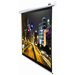 Spectrum Ceiling/Wall Mount Electric Projection Screen