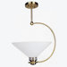 1 Light Pendant