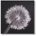 Sepia Seduction Lacquer Art - 20" X 20"