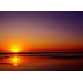 Sundance Printed Canvas Art - 20" X 28"