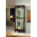 Curio Cabinet