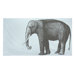 Elephant Cotton Voile Scarf in Sky