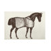 Thoroughbred Bath Mat