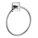 House Towel Ring