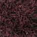 Woodford Burgundy Rug