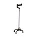 Quad Cane with Ortho Handle