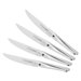 Type 301 4 Piece Steak Knife Set