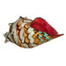 Seashell Figurine