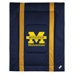 University of Michigan Sidelines Comforter