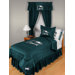 Philadelphia Eagles Comforter