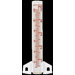 Glass Rain Gauge