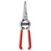 Grape Shears