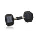Urethane Coated Dumbbell