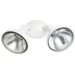 Decorative Incandescent Double Flood Light