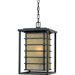 Jonathan  Outdoor Hanging Lantern in Imperial Bronze