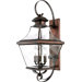27.5" Oula Outdoor  Wall Lantern in Aged Copper