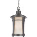 Harmony Outdoor  Hanging Lantern in Imperial Bronze