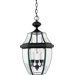21" Newbury Outdoor  Hanging Lantern in Mystic Black