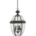 21" Newbury Outdoor  Hanging Lantern in Medici Bronze