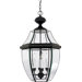 26.5" Newbury Outdoor  Hanging Lantern in Mystic Black