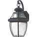 14" Newbury Outdoor Wall Lantern in Mystic Black