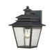 Carson 1 Light Outdoor Wall Lantern