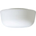Opal Glass Dome Flush Mount