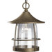 Burnished Chestnut Prairie  Outdoor Hanging Lantern with Wire Frames