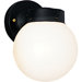 Black Incandescent Outdoor Wall Lantern