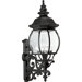 Onion Outdoor Wall Lantern