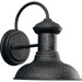 Brookside Gilded Iron  Outdoor Wall Lantern 8-1/16" x 9-3/4"