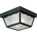 Weather Resistant  Outdoor Flush Mount in Black