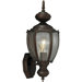 Roman Bronze Incandescent Outdoor Wall Lantern
