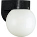 Black 6" Acrylic Globe Outdoor Wall Lantern
