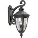 Meridian  Outdoor Wall Lantern in Black