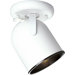75w Round Back Directional Ceiling Semi Flush Moun
