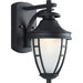 Fairview One Light Small Wall Lantern in Black